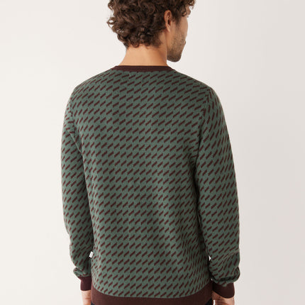 The Merino Jacquard Sweater in Light Green