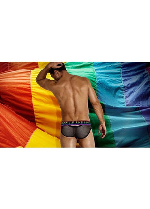 Pride Mesh Briefs