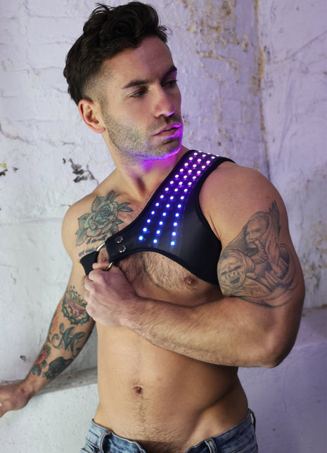 Soundwave Synergy Harness