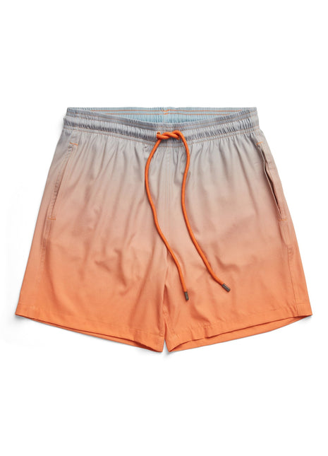 Dip Dye Swim Shorts
