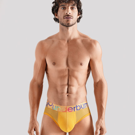 TRANSPARENT PRIDE Package Brief