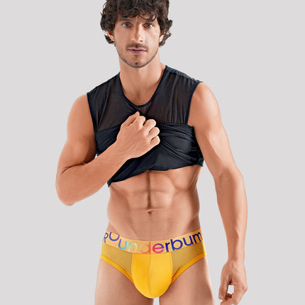 TRANSPARENT PRIDE Package Brief