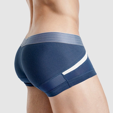 Anatomic Mini Trunk