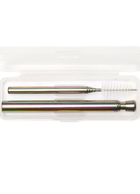 Iridescent Travel Straw Set