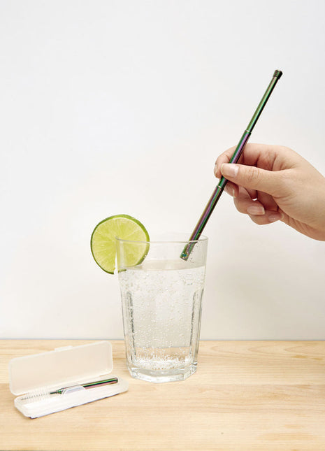 Iridescent Travel Straw Set