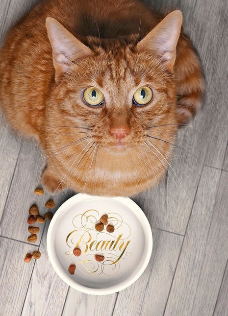 Howligans - Beauty + Queen - Mug and Bowl set