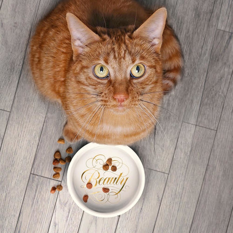 Howligans - Beauty + Queen - Mug and Bowl set