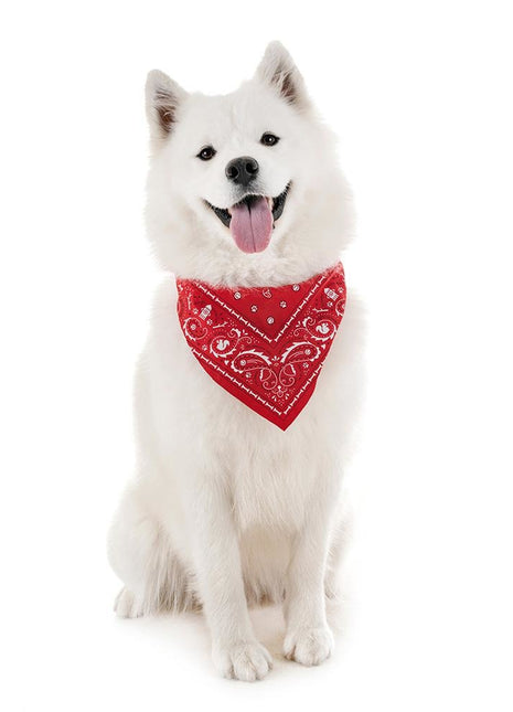 Howligans - Reflective Dog Bandana